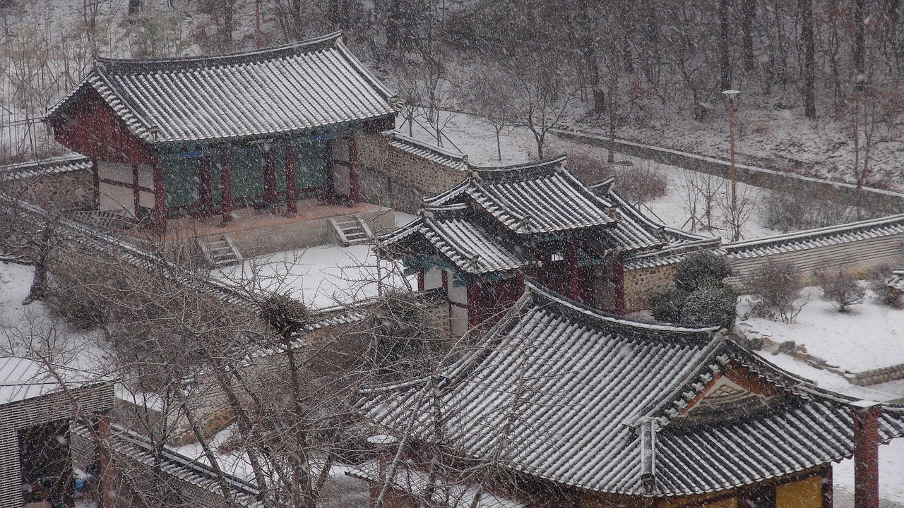 세종시 식당
