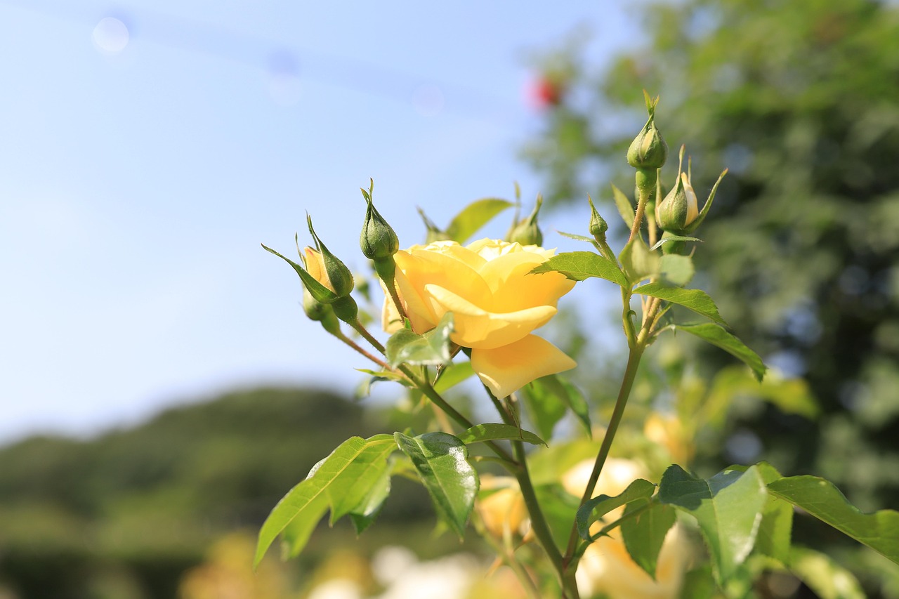 용인 회식