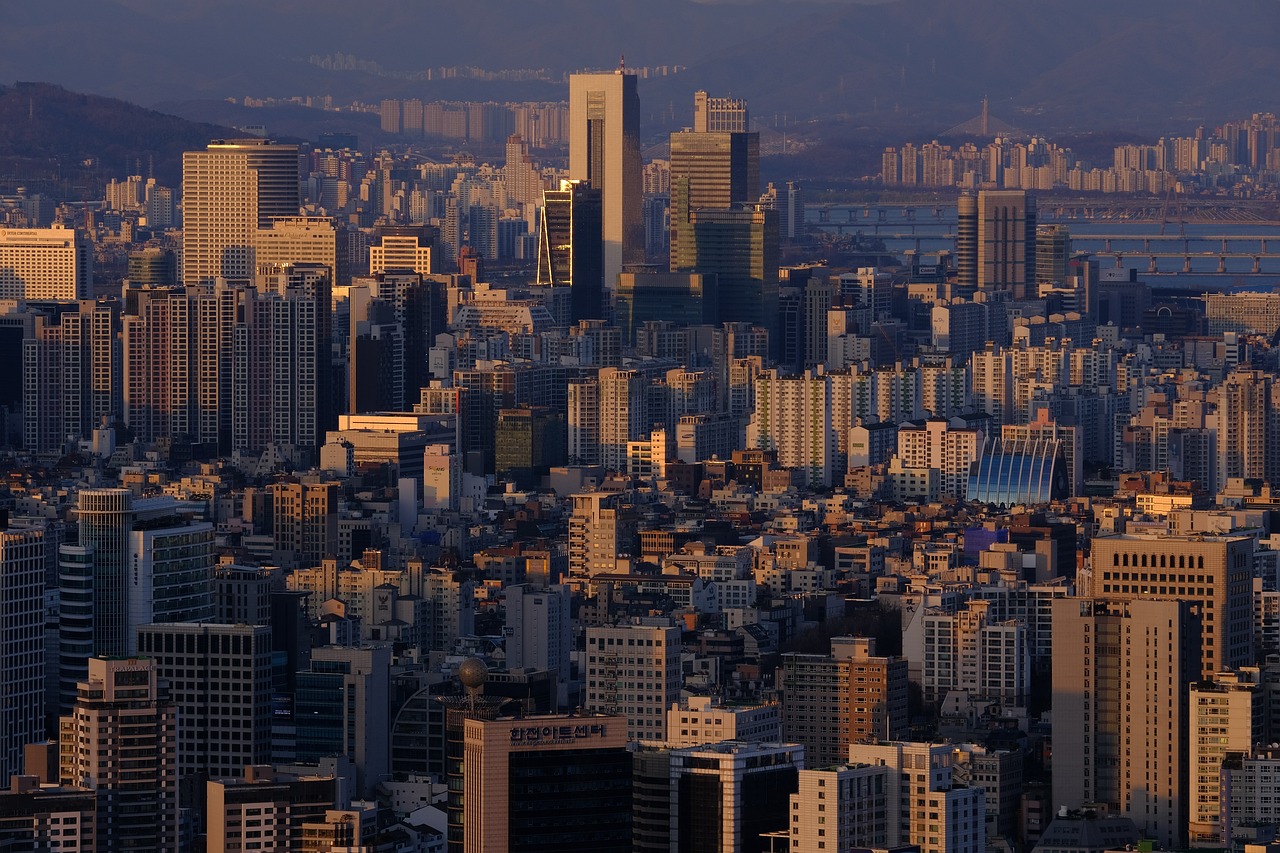 여의도 샐러드